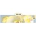 Стеновой щит Albico SP-018 2800мм*610мм*6мм