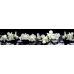 Стеновой щит Albico SP-091 2800мм*610мм*6мм